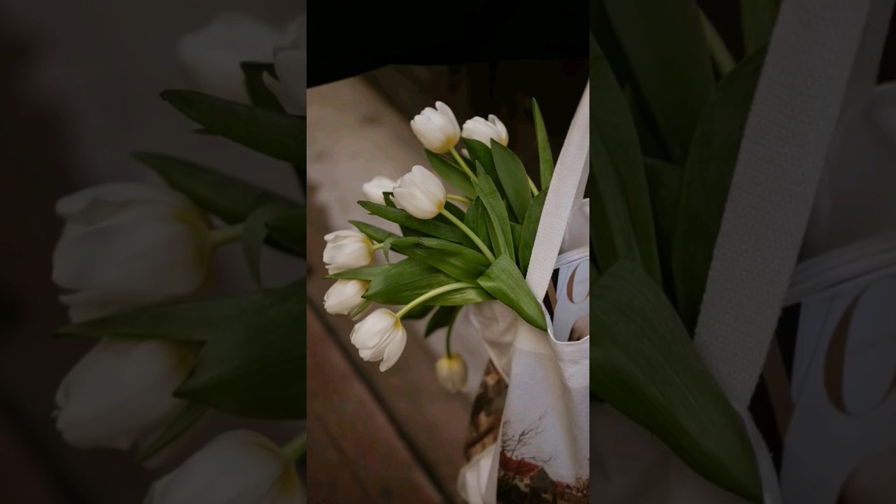 Kabir Amritvani: Nectar of Kabir's Divine Wisdom #shorts #peace #kabir #amritvani #live