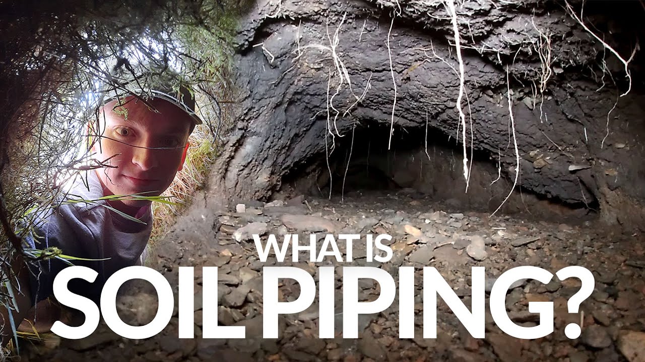 Why the hidden world of soil piping is so important to understand