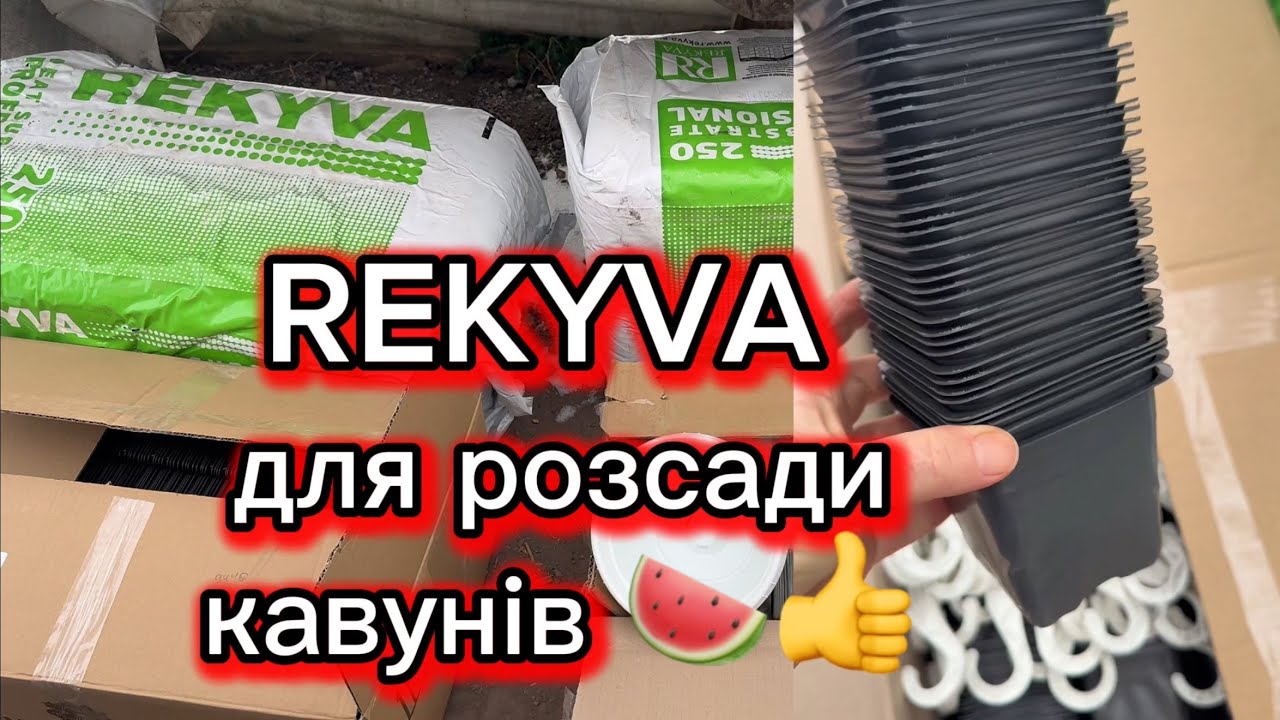 Торф REKYVA мій вибір для розсади кавунів та перцю, підготувалася до сезону. 
