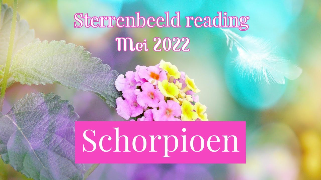 Sterrenbeeld reading Schorpioen : Mei 2022