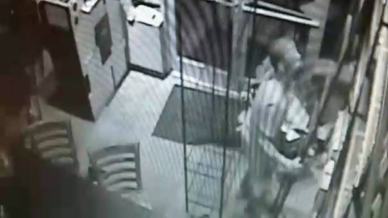 Looter brings dog along for the crime