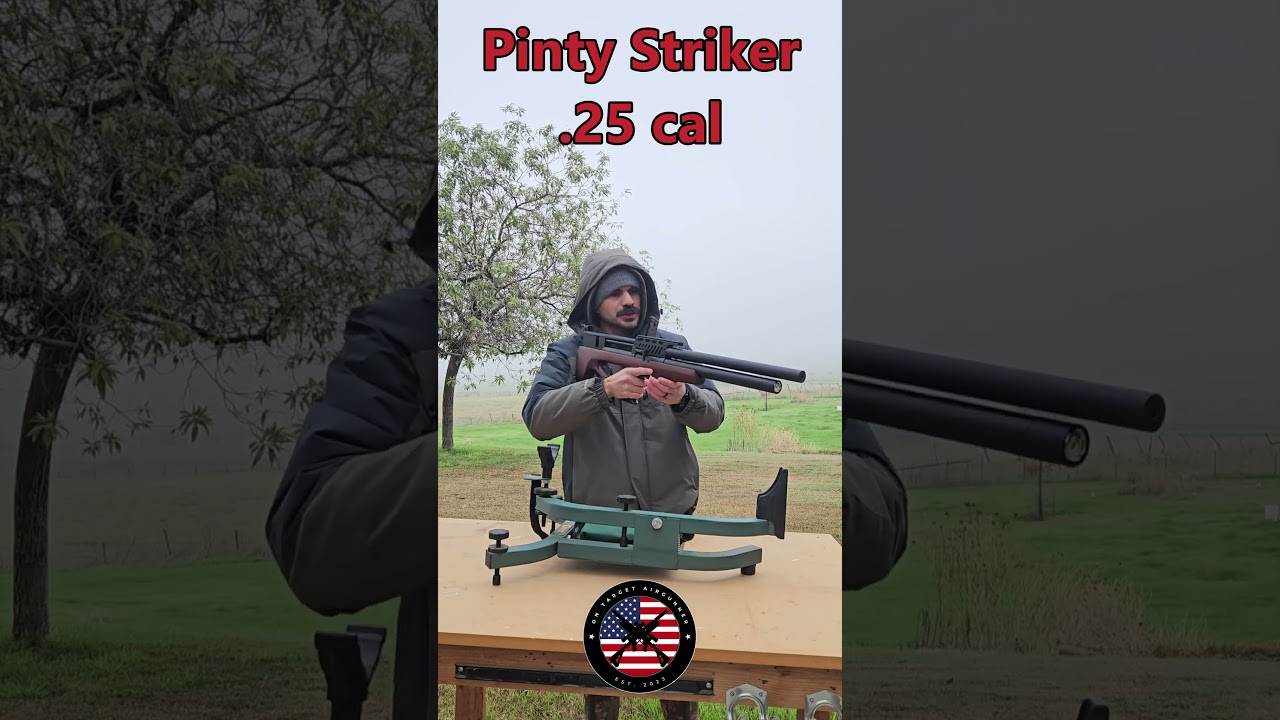 Pinty Striker — первый взгляд 