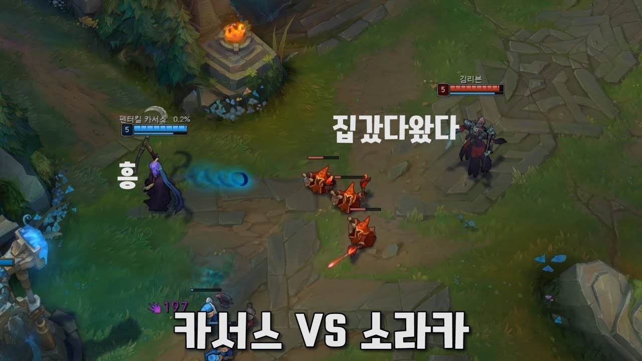 새벽 예능롤 10