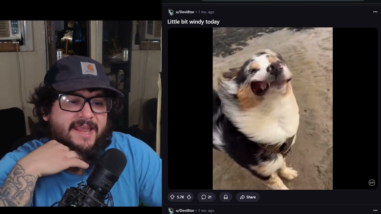 The Best Gifs This Month | r/gifsthatkeepongiving #1