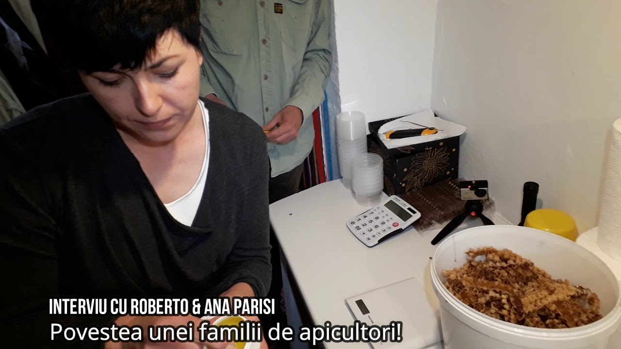 Producerea laptisor de matca #RobertoAnaParisi  & #IonelNistor #ApisInes