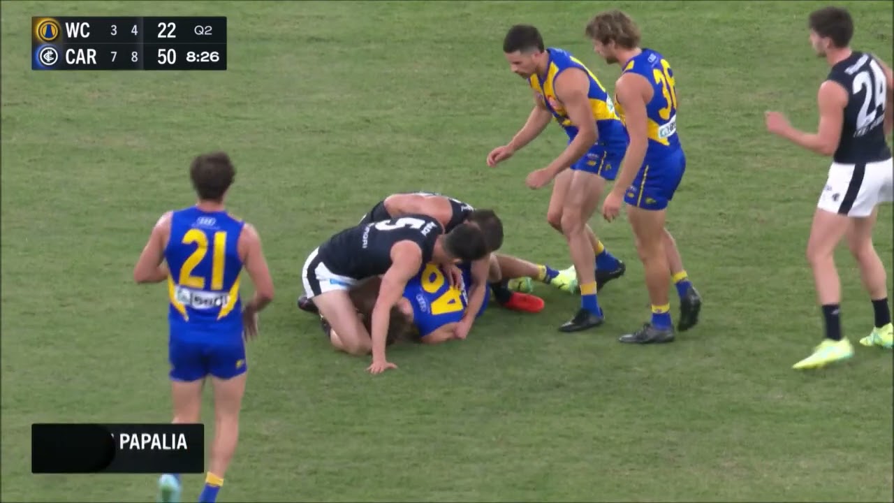 Adam Cerra - Round 7 2023 Highlights