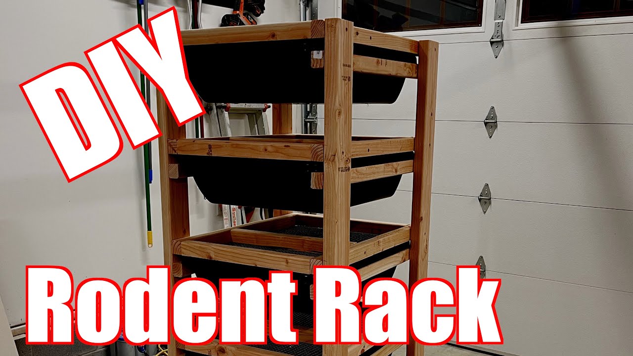 BEST!  DIY Rodent Rack!  How to Build Mice and Rat Breeding Rack for Less Than $120!