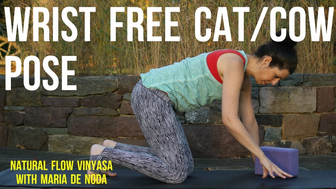 Beyond Yoga Basics: Wrist Free Cat/Cow Pose