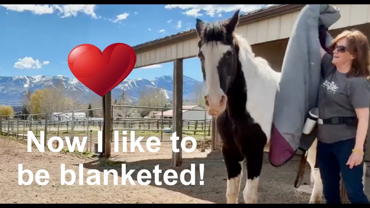 Systematic Desensitization and Counter Conditioning of Blanketing