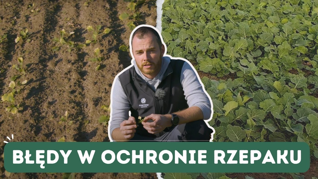 ⚠️Błędy w ochronie rzepaku! Jak naprawić słaby rzepak? Jak utrzymać dobre pola? e-pole
