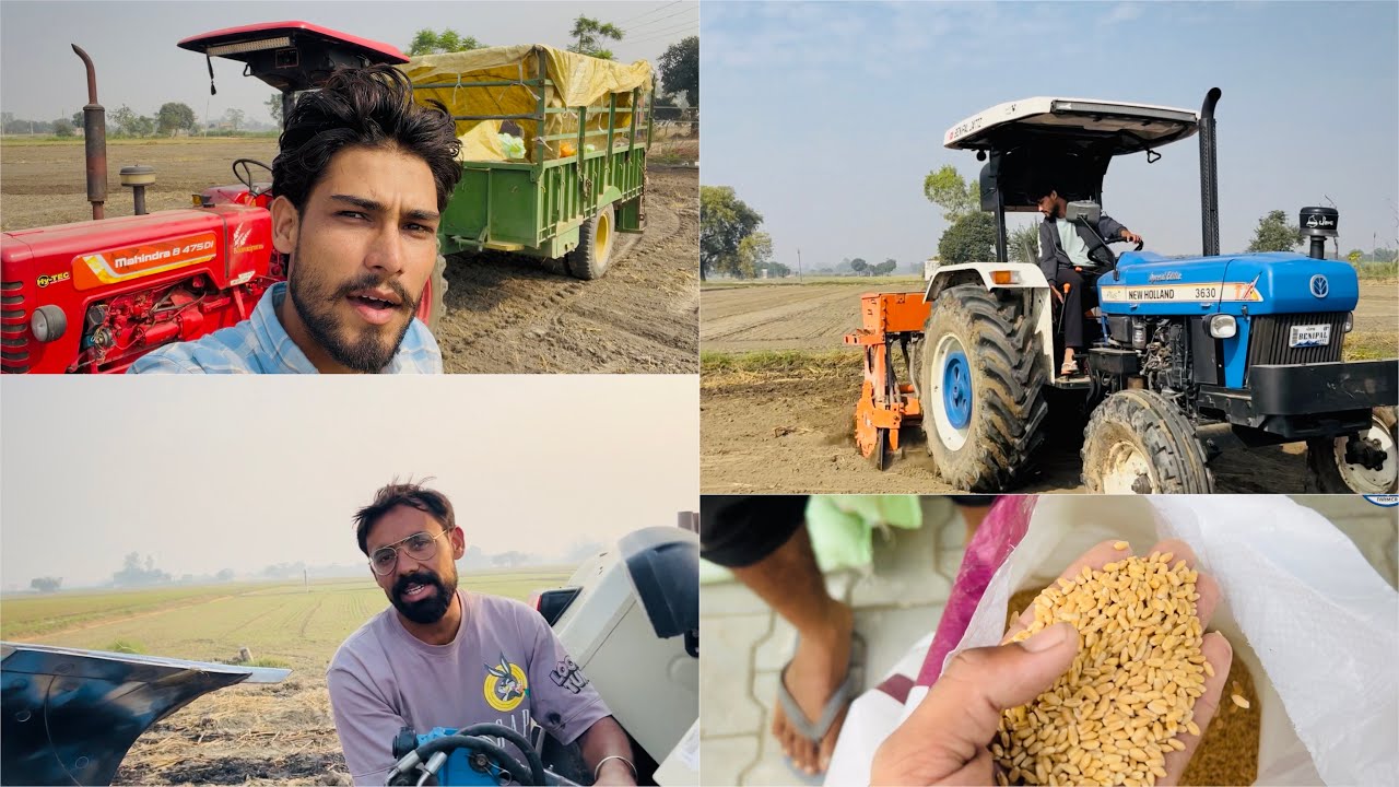 ਕਣਕ ਦੇ ਨਵੇ ਬੀਜਾ ਦੀ ਬਿਜਾਈ • 872,327,303 • New Holland Modify ਕਰਤਾ • Punjabi Farmer