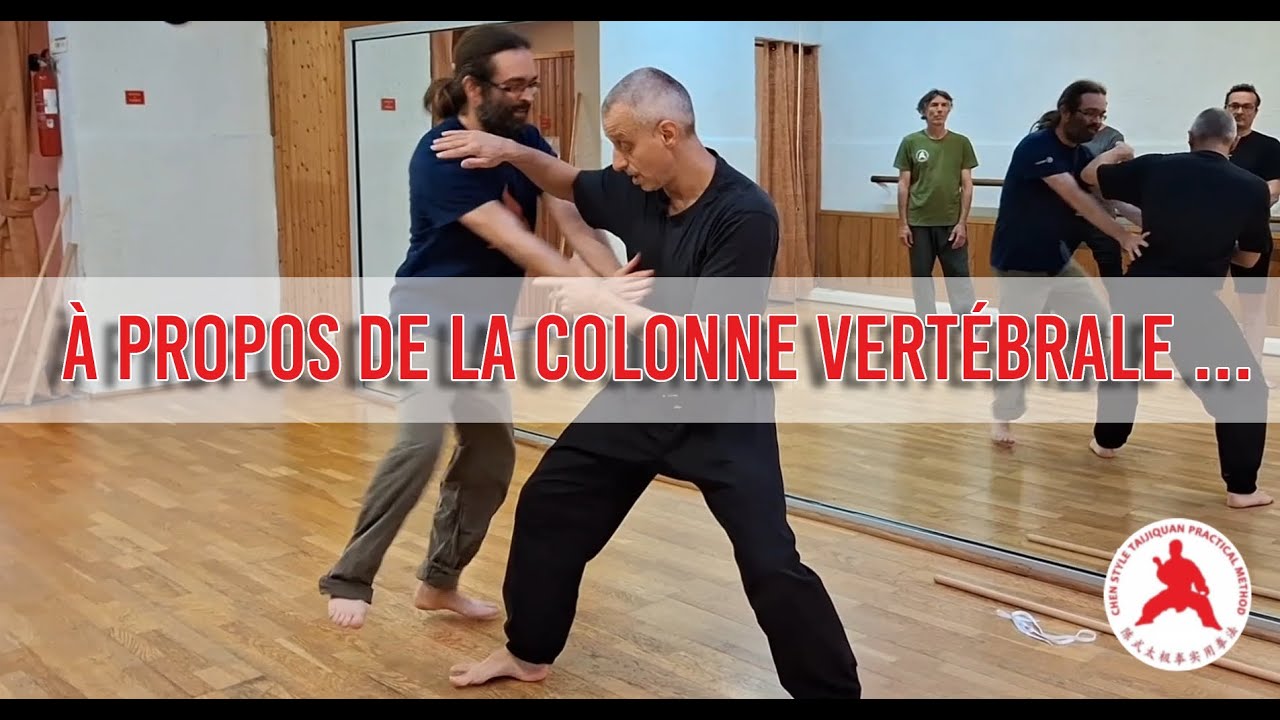 À propos de la colonne vertébrale  -  Chen Taijiquan Practical Method