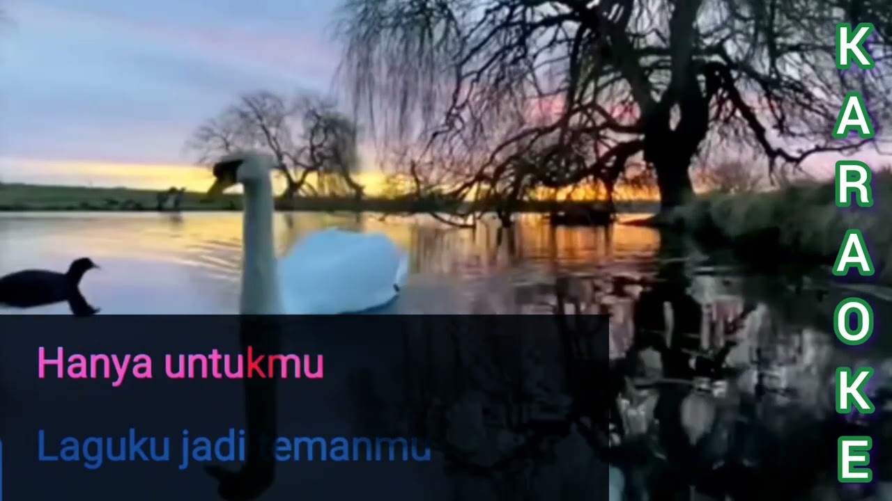 DJ Dave - Suara Hati [karaoke 🎤]