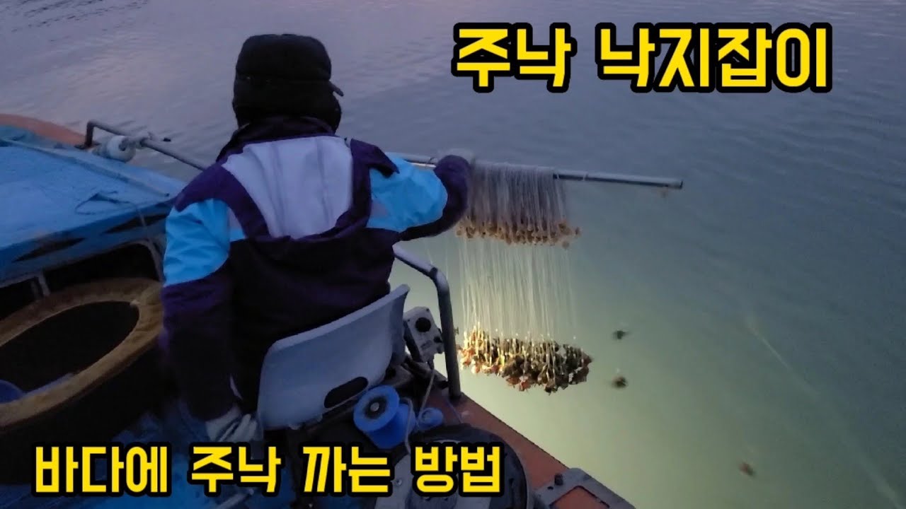 주낙 낙지잡이 (1부) 바다에 주낙 까는 방법!! 낙지가 올라온다~