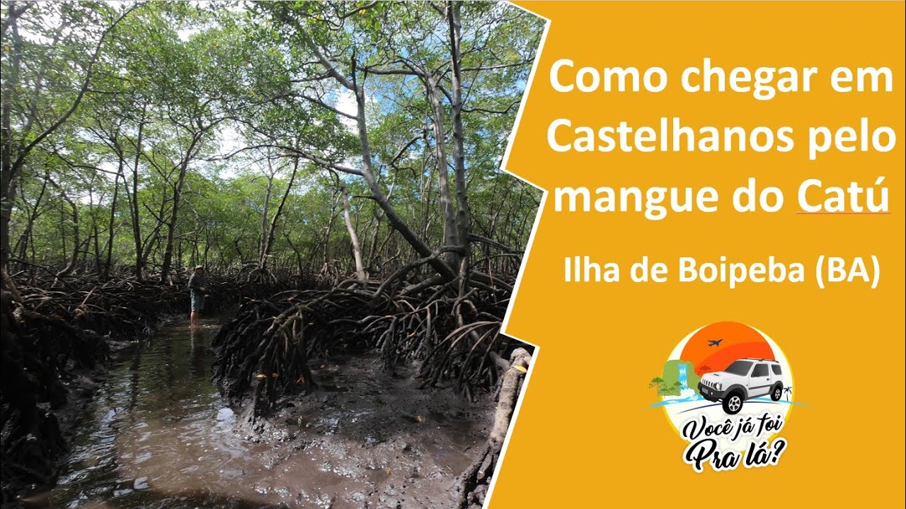 Como chegar na Praia de Castelhanos atravessando o mangue da Barra do Cat&uacute; na Ilha de Boipeba #214