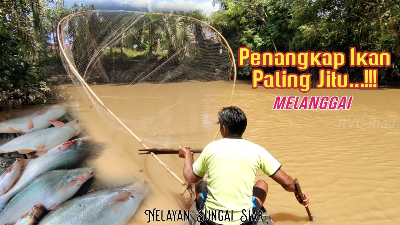 CARA UNIK MENANGKAP IKAN||ALAT PENANGKAP IKAN TRADISIONAL NELAYAN INDONESIA #ikanpatin #nelayan
