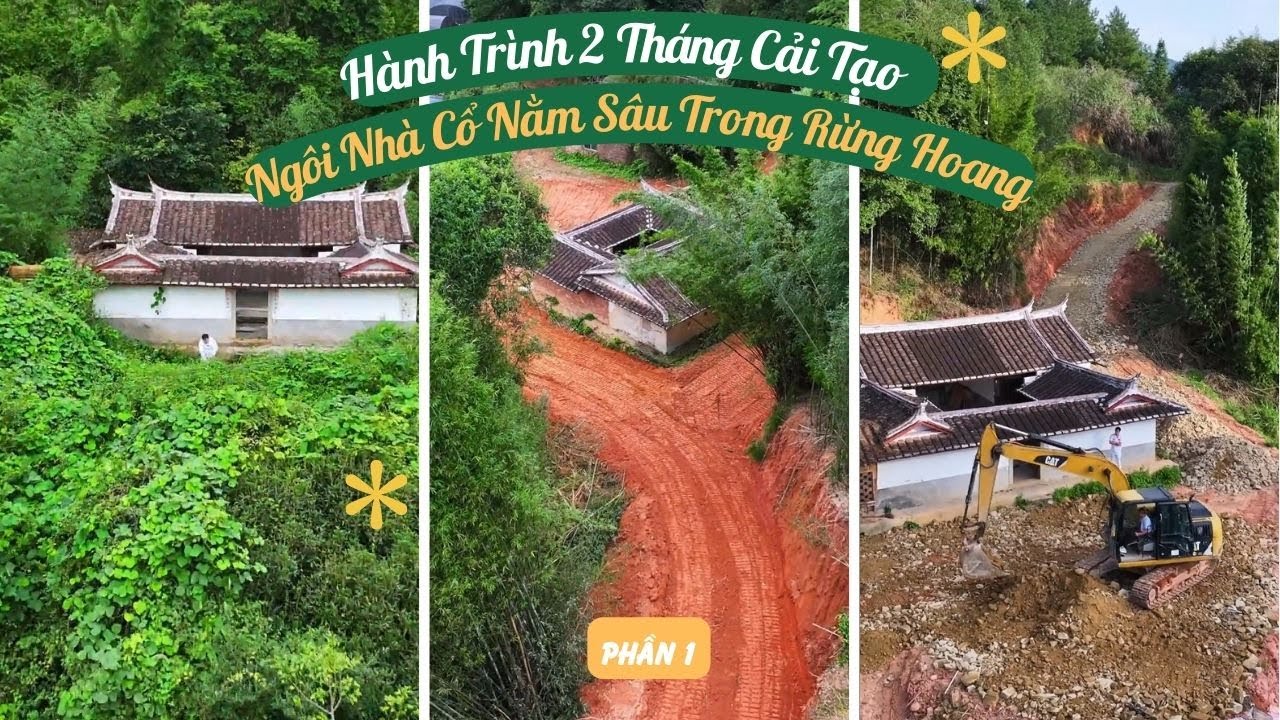 Phần 1 | Hành Trình 2 Tháng Cải Tạo Căn Biệt Thự Cũ Nằm Sâu Trong Rừng | Đông Tần #caitaonha #nhadep