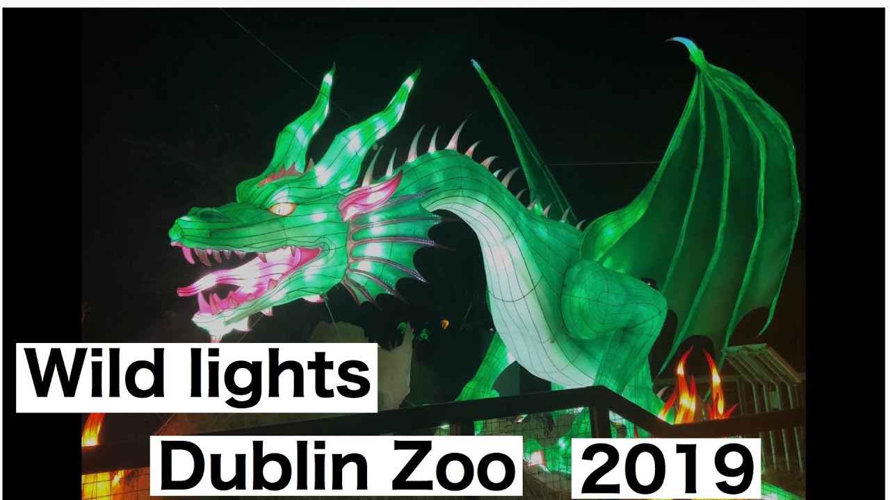 Wild Lights Dublin Zoo 2019
