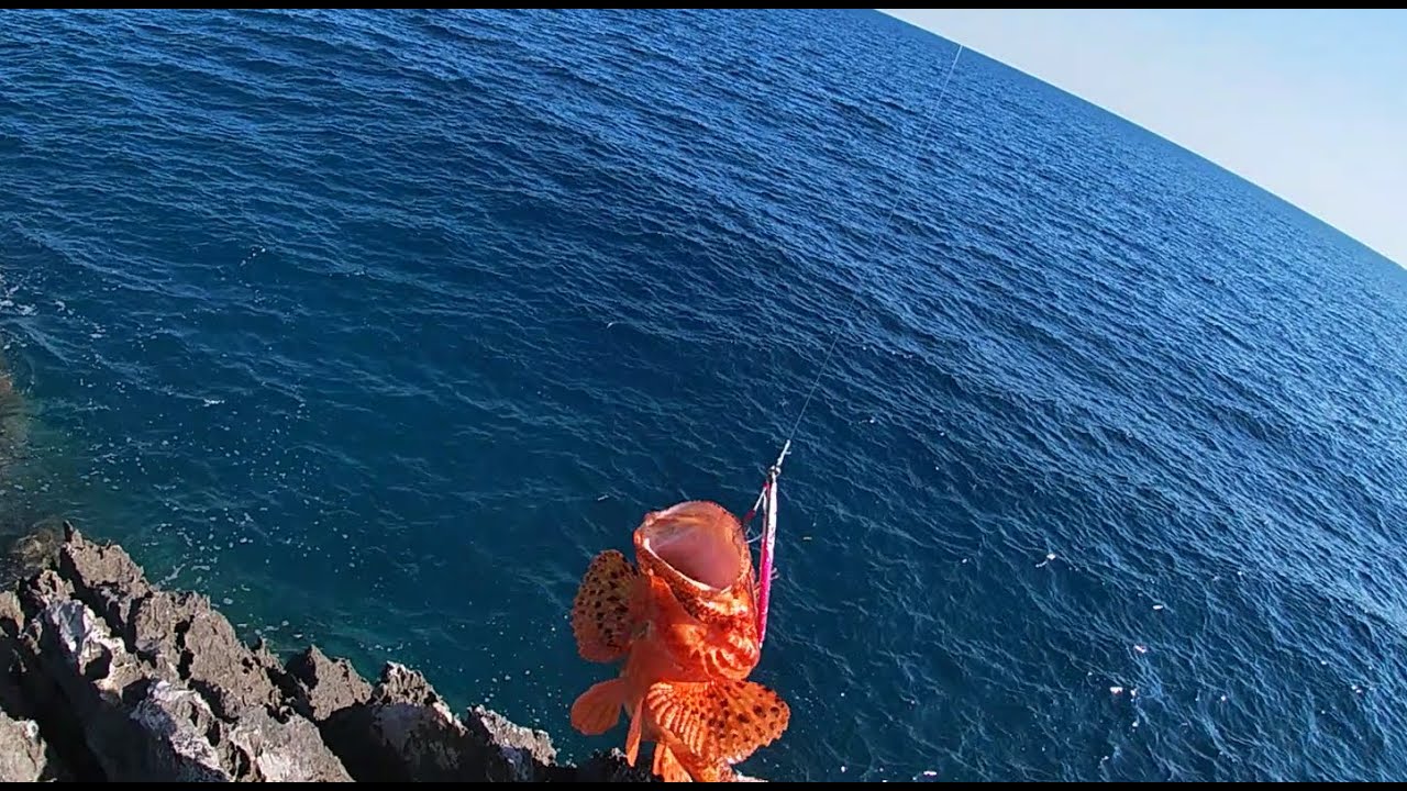 Shore Jigging, bonito and scorpion fish!!! LIVE STRIKE!!