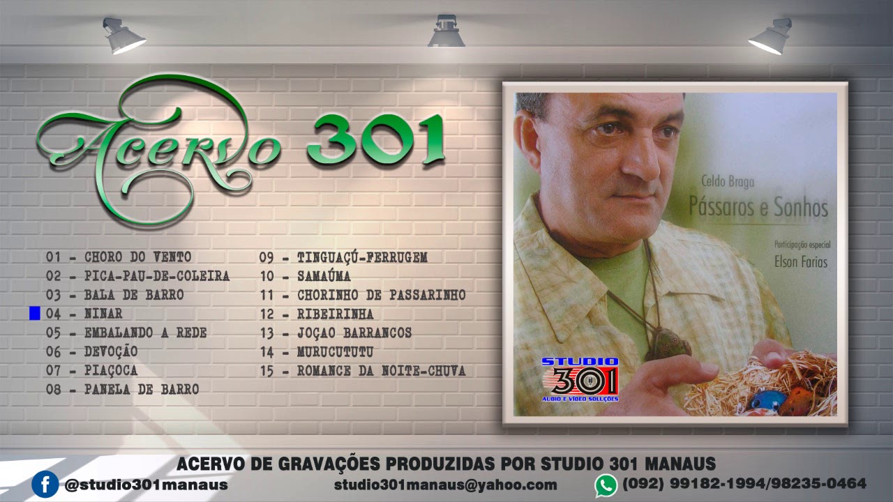 ACERVO 301 - CELDO BRAGA - PÁSSAROS E SONHOS