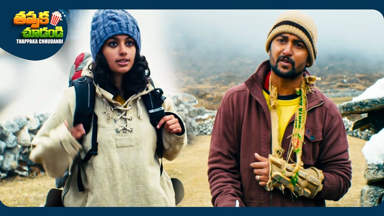 Malvika Nair And Nani Recent Telugu SuperHit Movie Scene | @ThappakaChudandi9