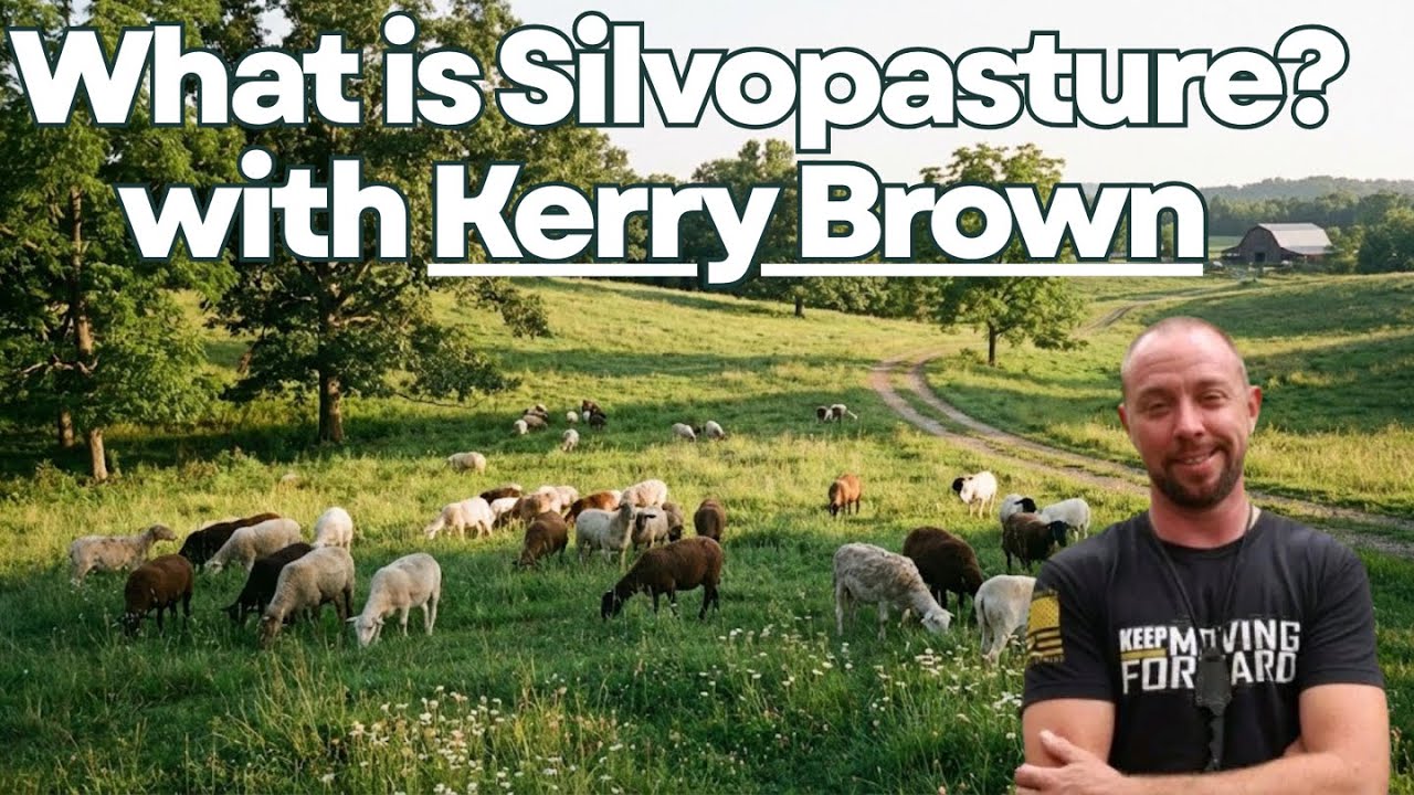 What is Silvopasture? With Kerry Brown 📱