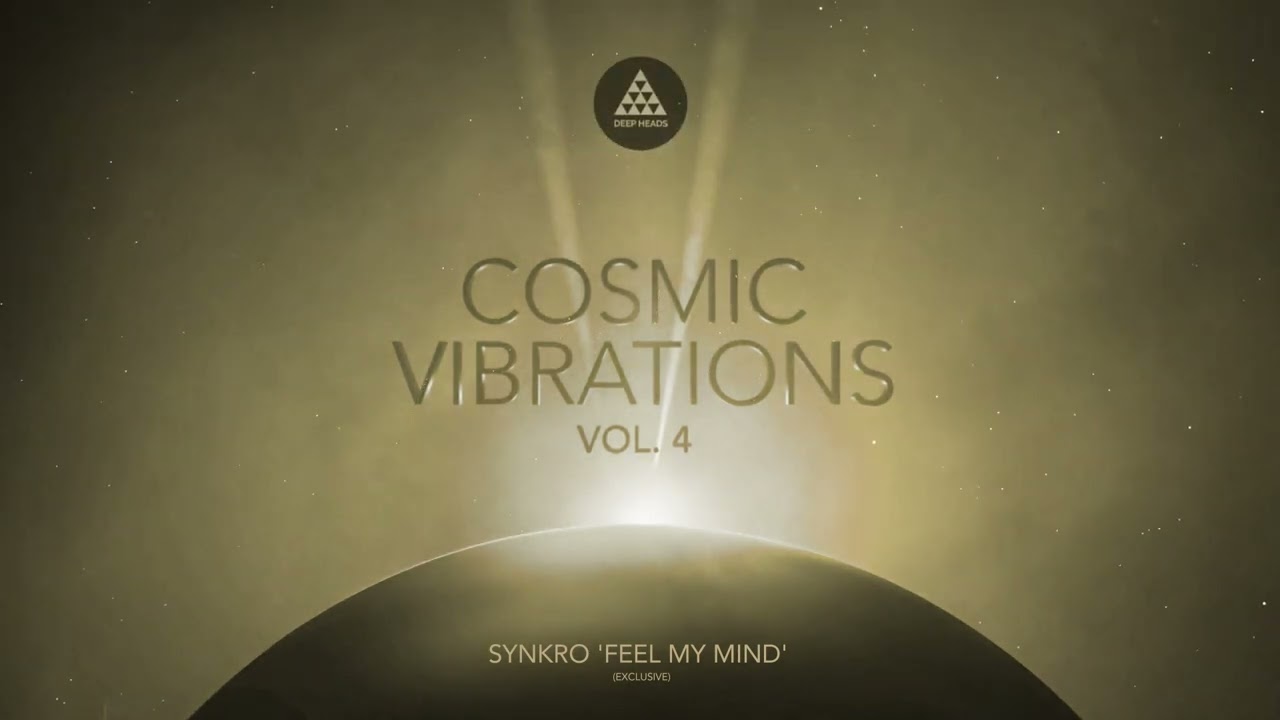 Synkro 'Feel My Mind'