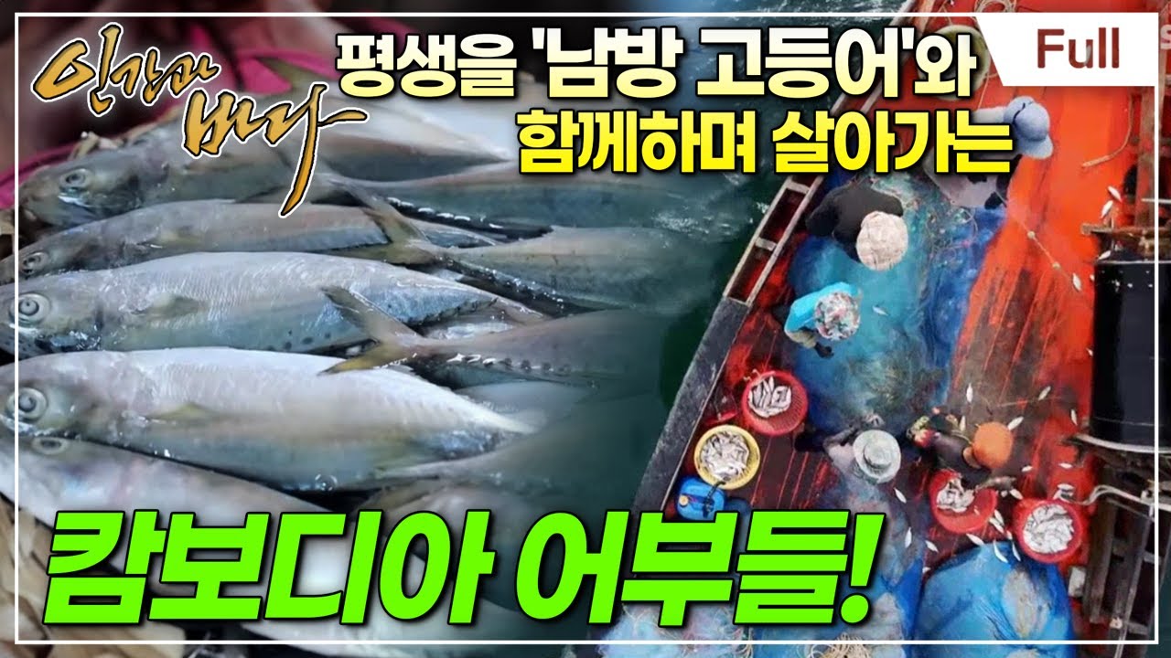 [Full] 인간과 바다 - 바다가 준 선물, 캄보디아 남방 고등어