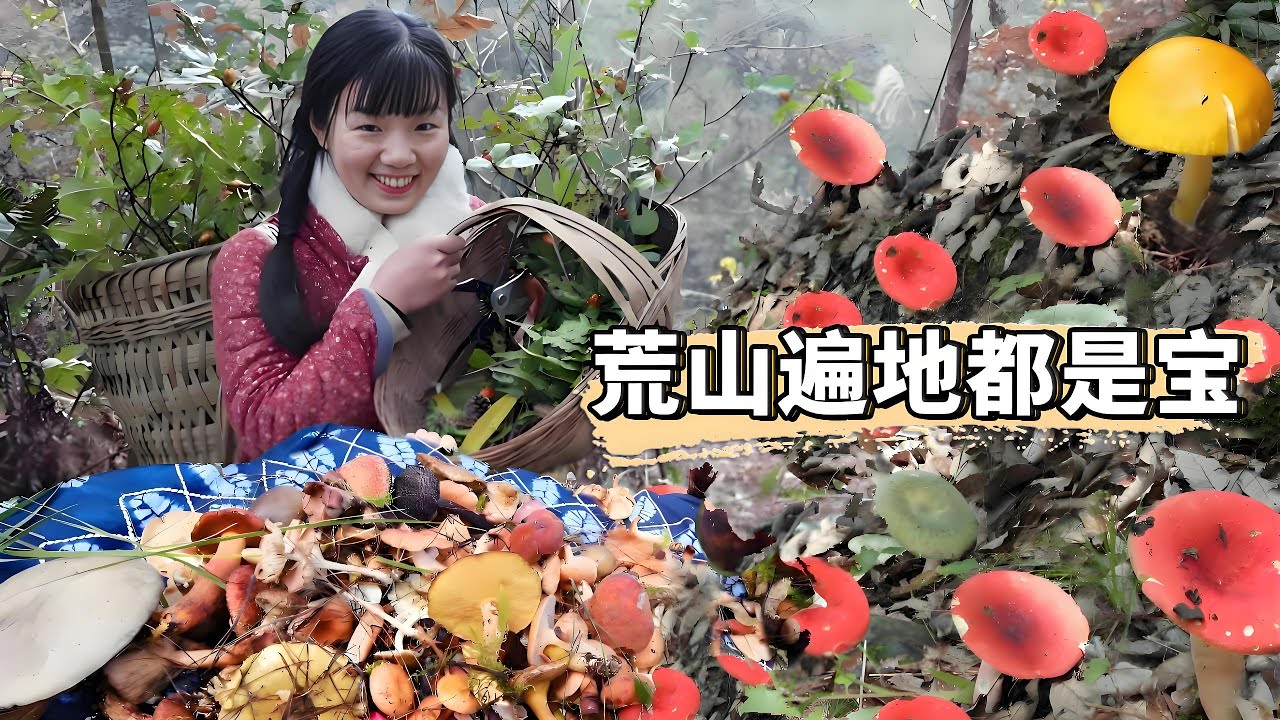農村姑娘上山採蘑菇！ 5年的荒山遍地都是寶貝，滿滿三大筐賣出高價錢!【燕麥行遊】#Farm #tour