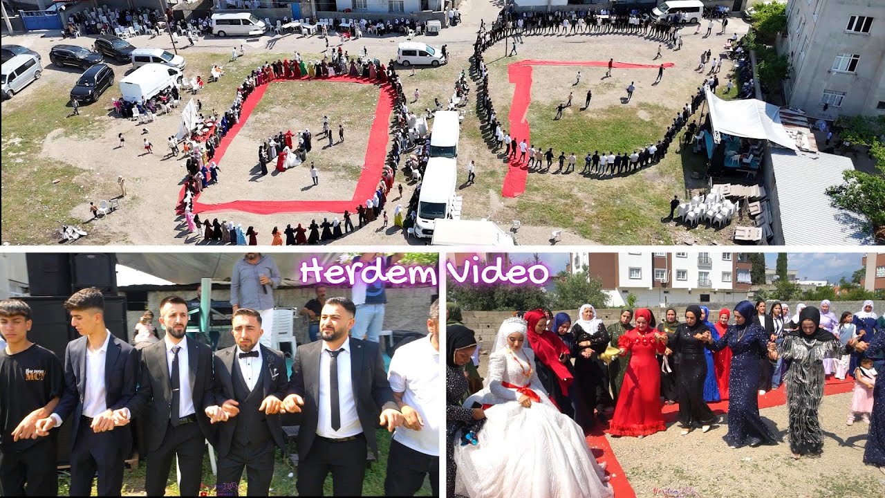 Koma Berfin / Berivan & Selahattin Koçerlerin Düğünü#part2 #herdemproduction