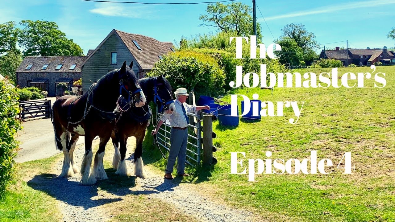 THE JOBMASTER'S DIARY - EPISODE 4 - HOW TO PUT A PAIR OF HORSES TO A PLOUGH