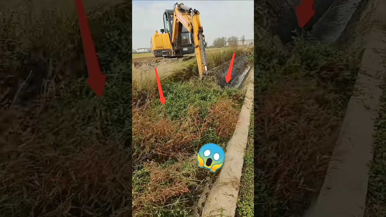 excavator cleaning drainage canal. 😮 Good tools and machinery make work easy  #excavator #shorts