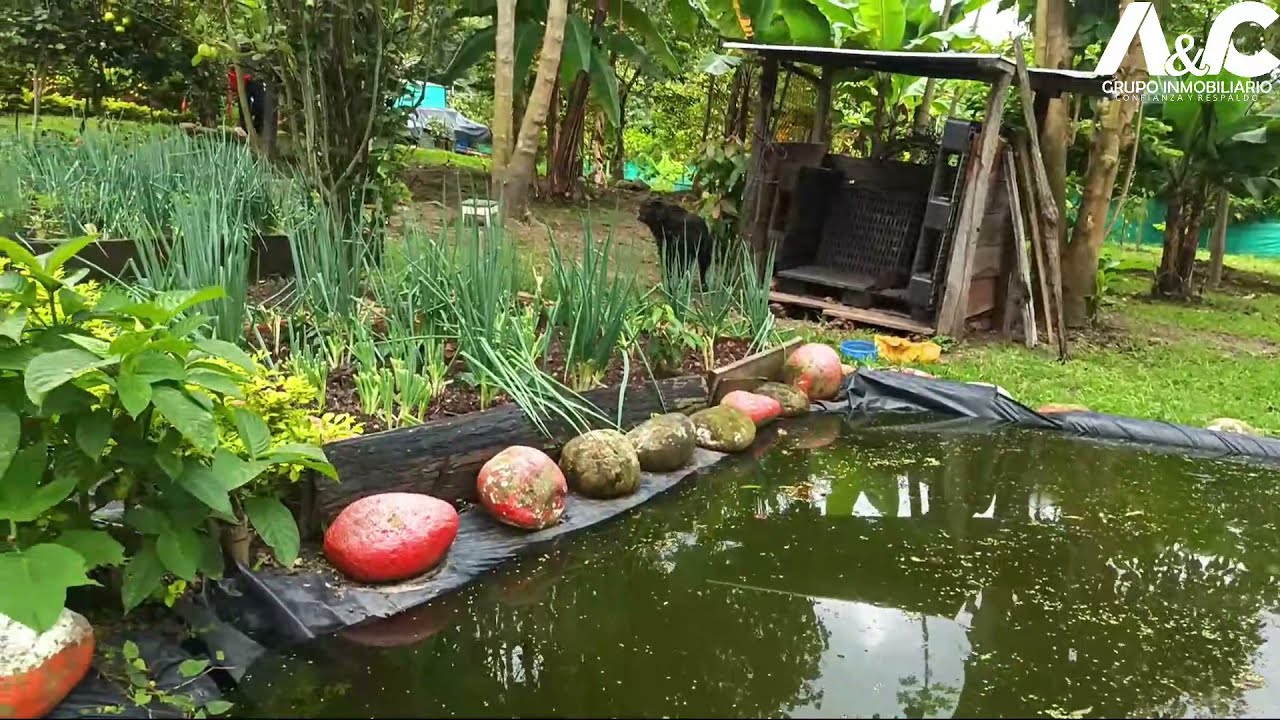 FINCA EL HOREB - SILVANIA