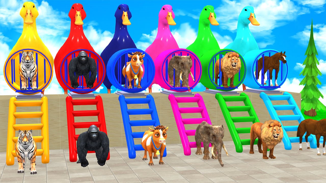 Long Slide Game with Cow Elephant Gorilla Hippopotamus Tiger 3d Animal Game Funny 3d Animals