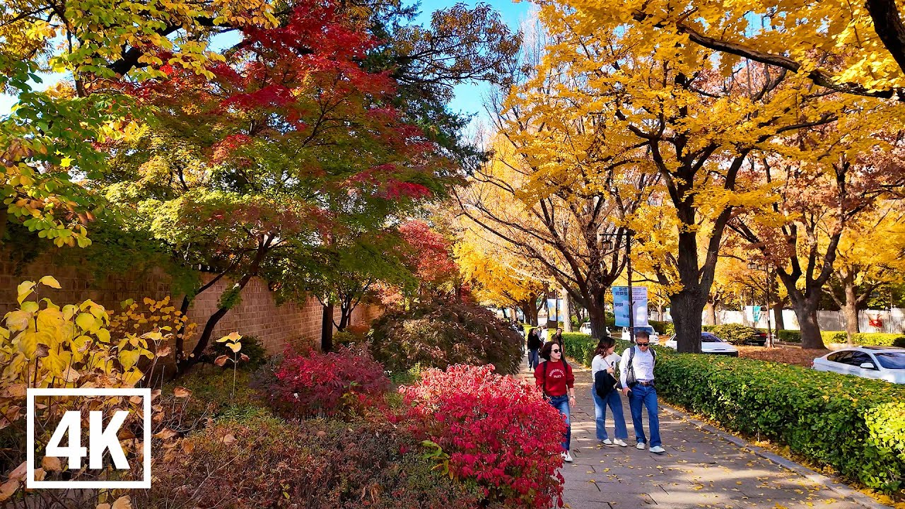 Explore Seoul’s Most Stunning Autumn Path🍂 – Samcheong-ro to Seochon | 4K