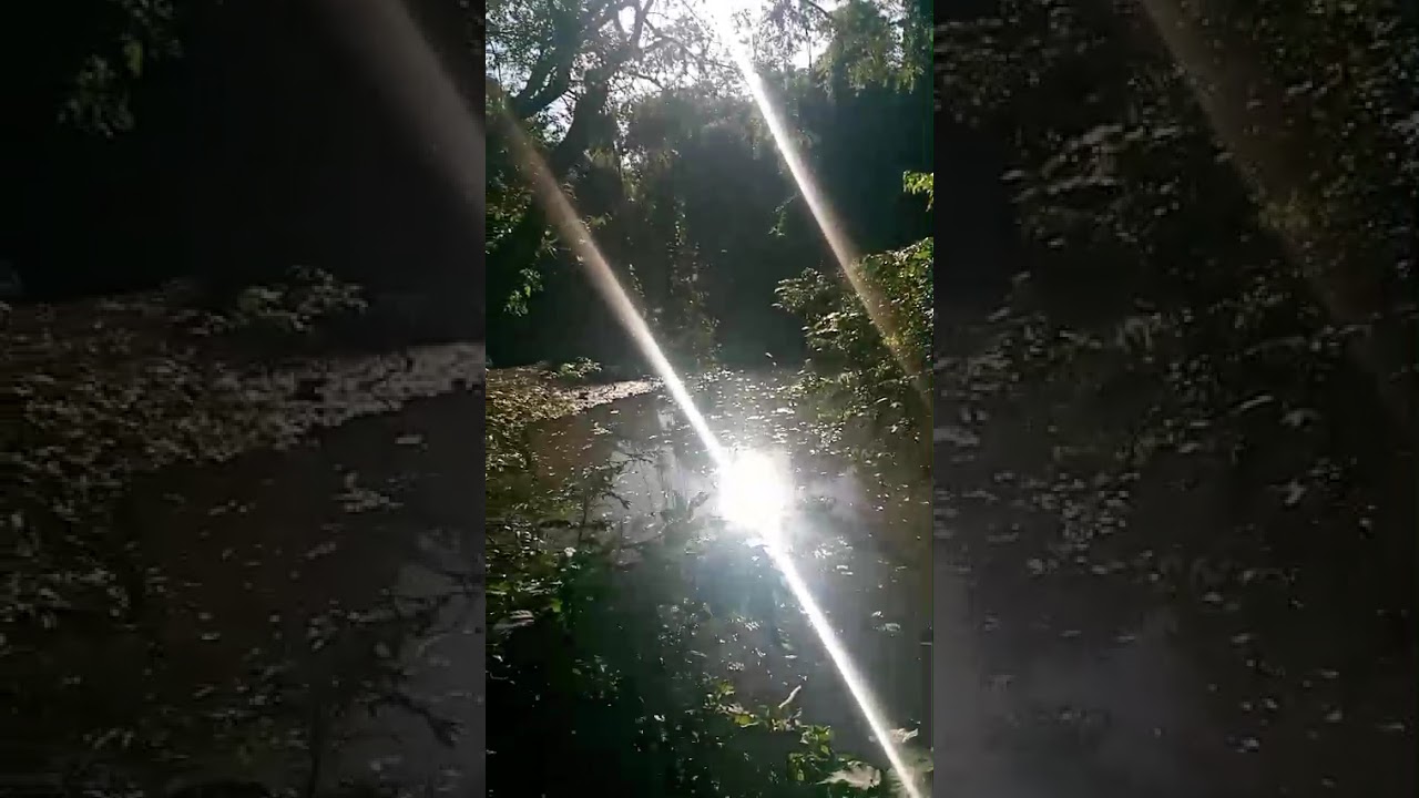 Disfrutando de la naturaleza.
