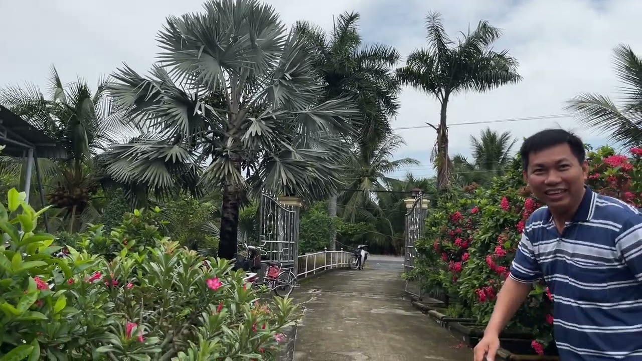 Sy Nguyen My tho VN Nhà cổ và cây Mai quý hiếm!IMG 5147 2