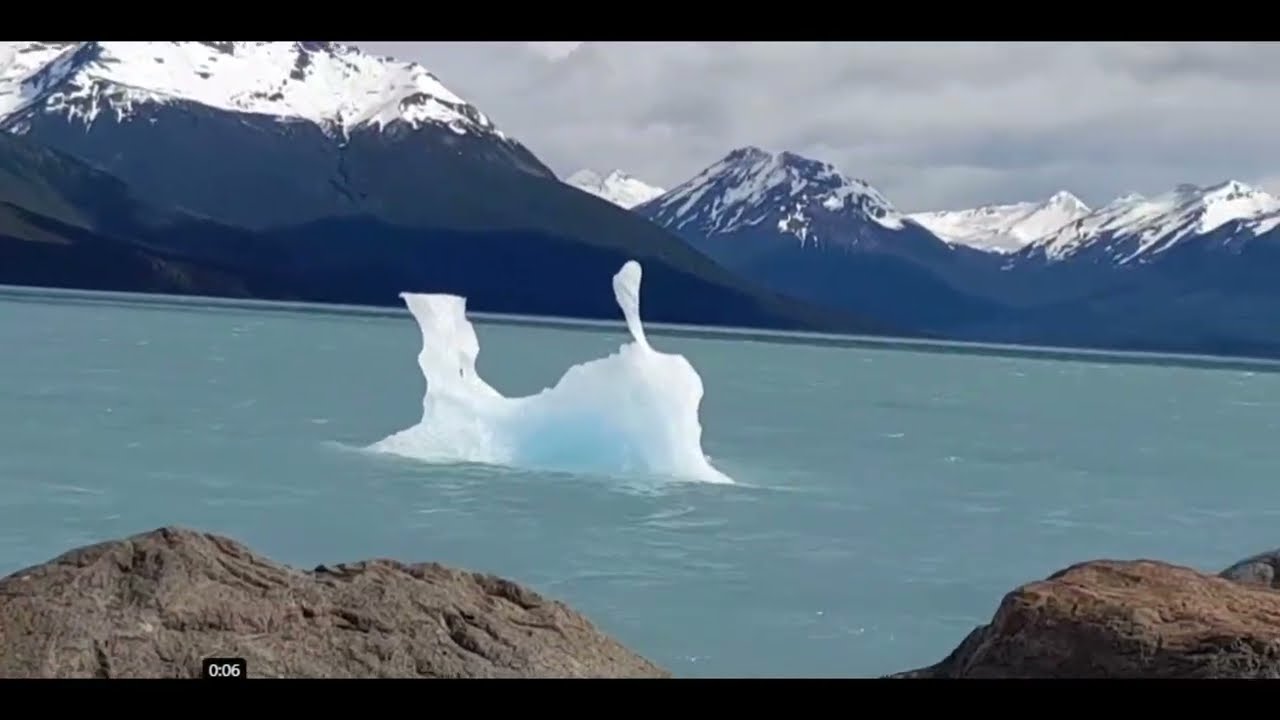 EL CALAFATE BANDURRIA EN CASA UN POQUITO DEL GLACIAR Y UNAS VISTAS DEL CENTRO 25 DE ENERO 2026