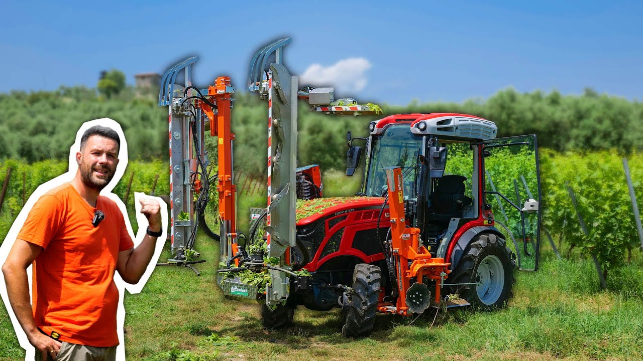 Potatura del vigneto con CIMATRICE RINIERI