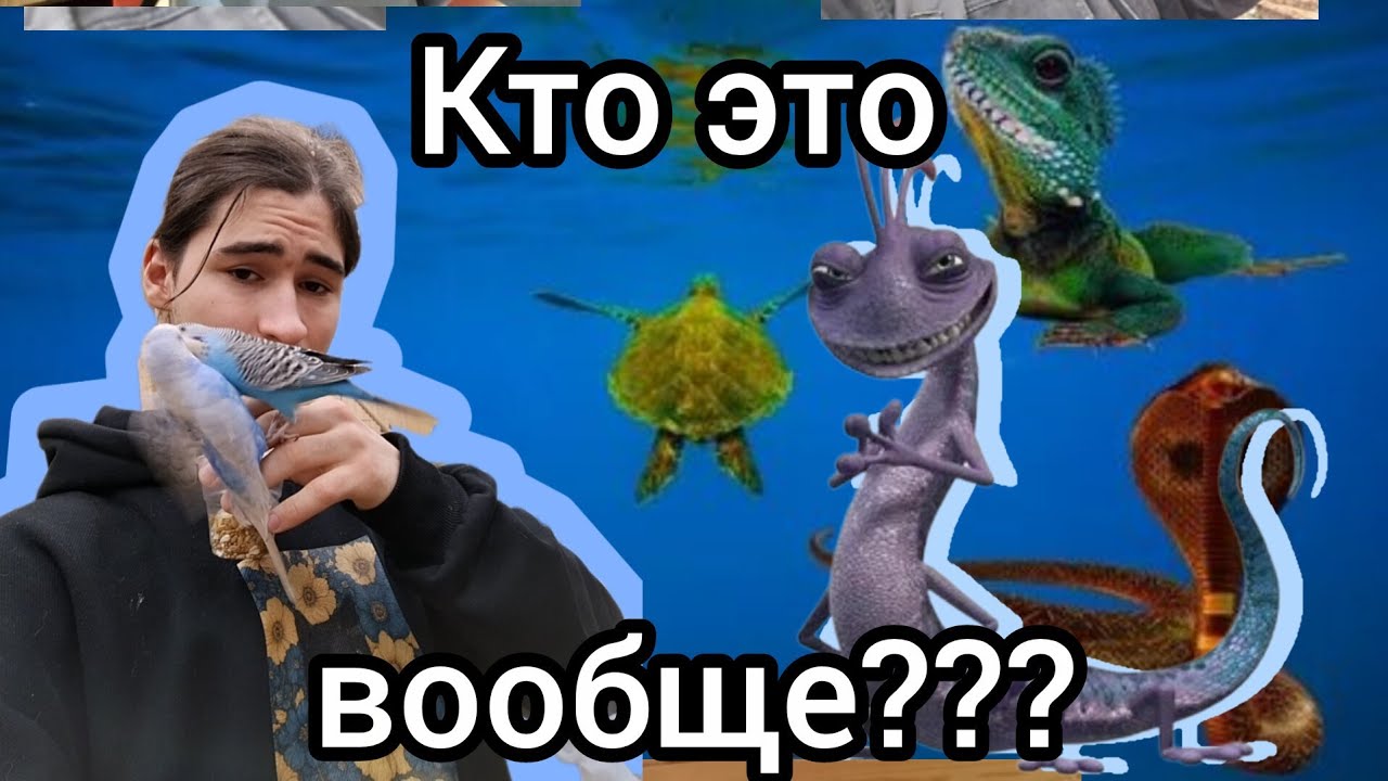 Поясняю за Рептилий за 6 минут