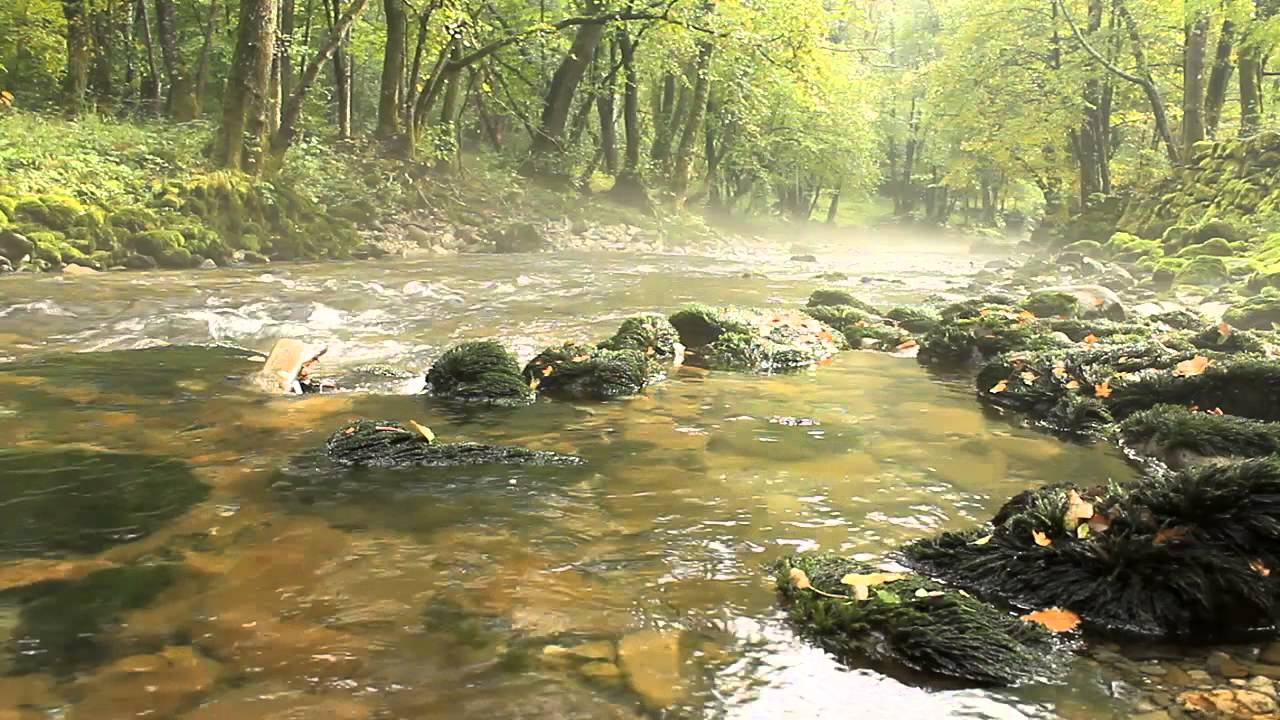Rječina mountain river in Autumn - Sounds of Nature in high quality