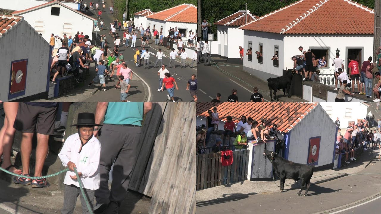 TOURADA NAS QUARTO RIBEIRAS CAJAF 07 08 2025