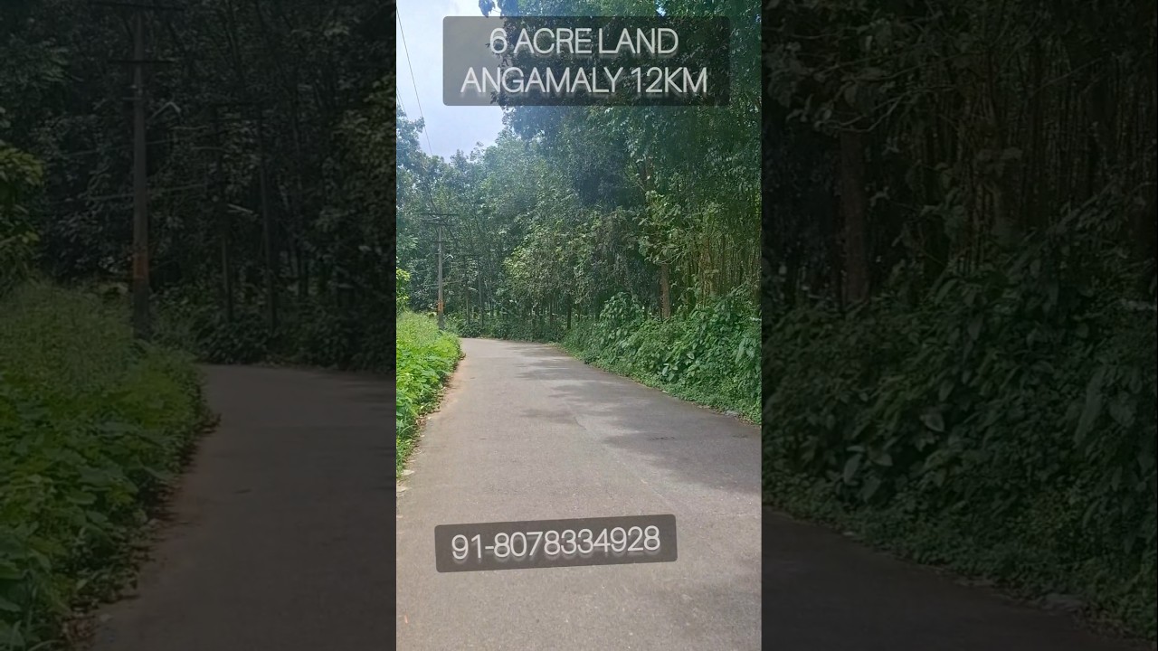 6 Acre Tar road frontage land for sale Angamaly Near 12 km  Wide road frontage #nrproperties