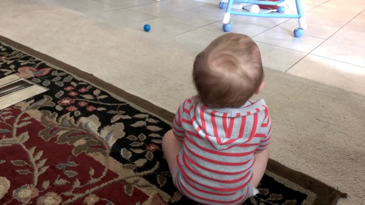 Baby's Crying Tantrum: The Horror of Being Told No