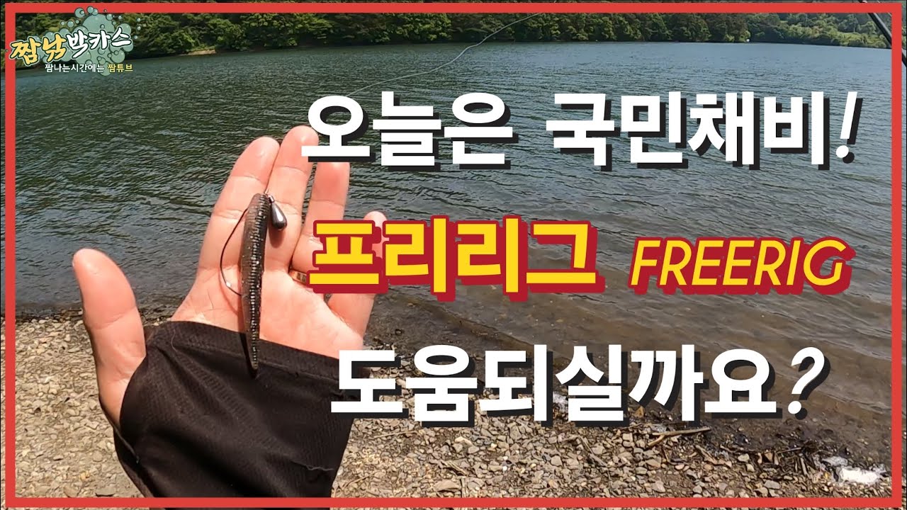 배스낚시 국민리그 프리리그! 궁금증해결? #FREERIG #다미끼 #사이드웜 #배스웜 #스피너베이트 #TOT스피너베이트 #다미끼루어 #배스낚시 #bassfishing #짬낚
