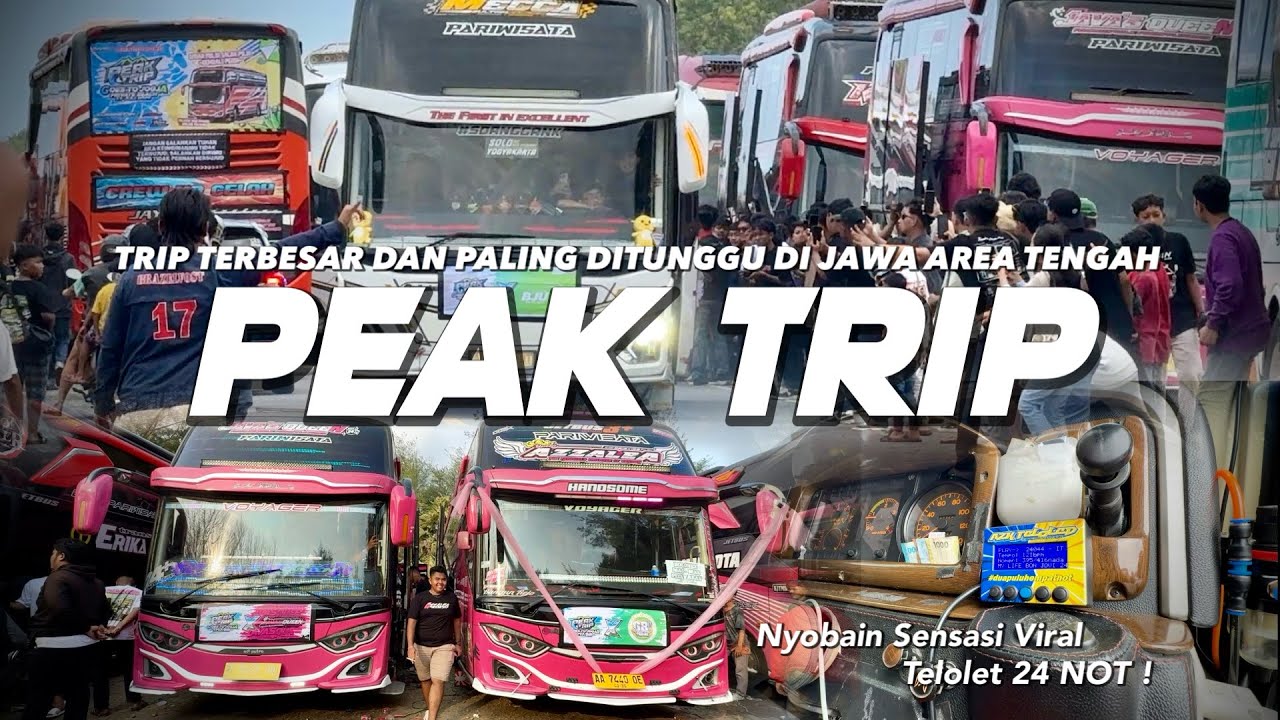 [ PESTA BESAR MANIA PALING DITUNGGU ! ] SEMUA BUS ARTIS HADIR DISINI ! Peak Trip 2025 Yogya