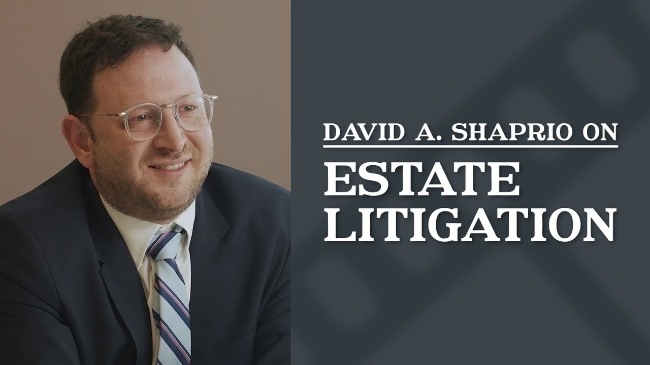 Estate Litigation | Top Los Angeles Estate & Trust Lawyer | David A. Shapiro