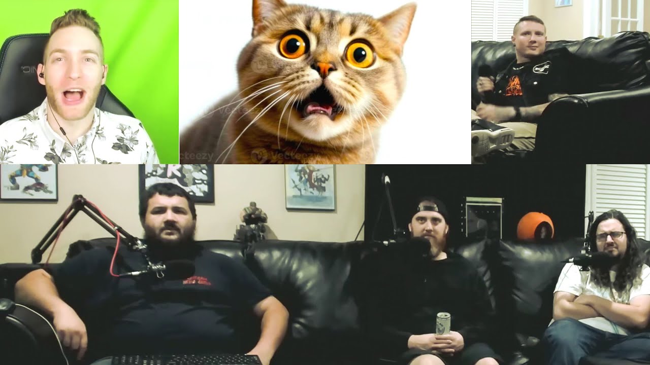 A Talking Cat!?! - JonTron Reaction Mashup