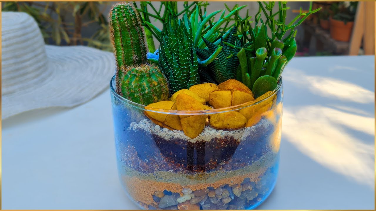 Terrário de Suculentas: Como fazer