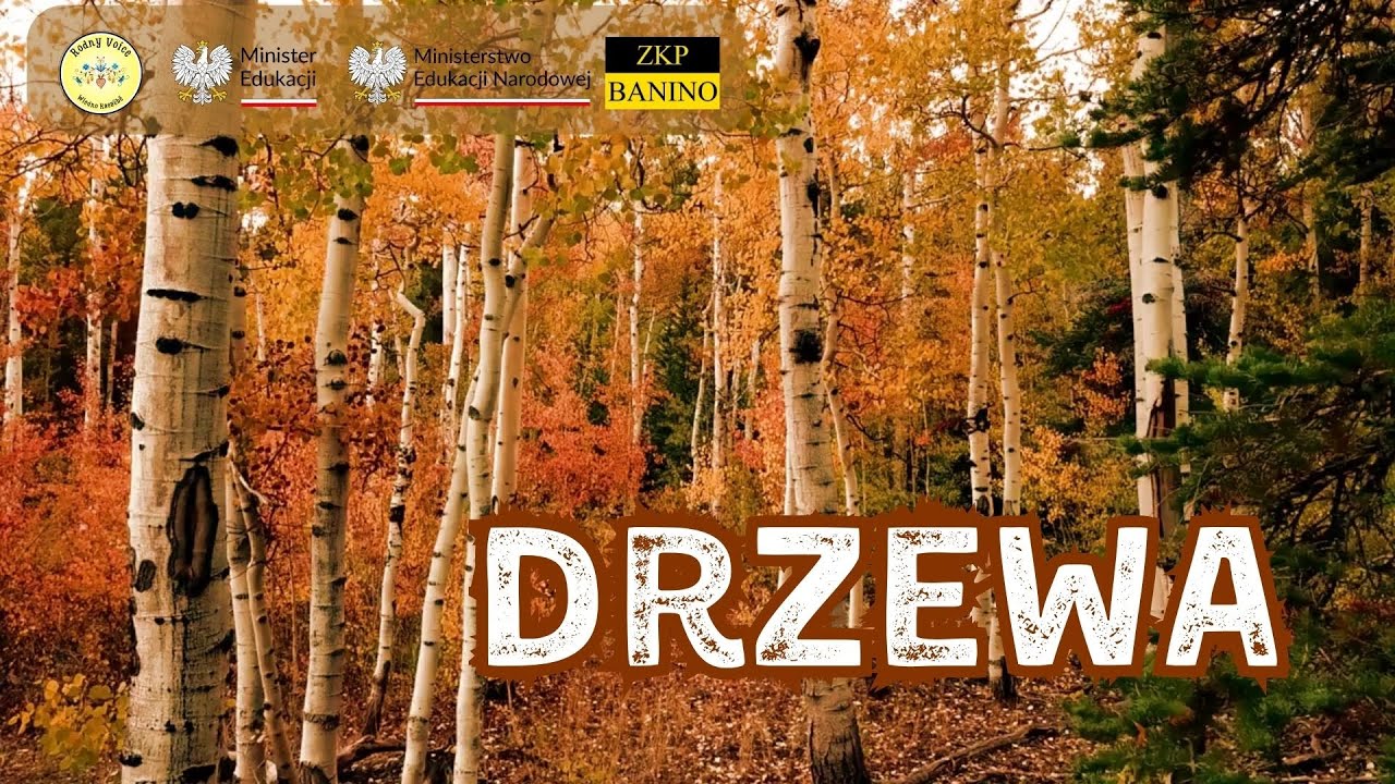 Drzewa ‐ Drzewa